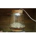 Kit Mini-Terrarium "Izumi"  avec ou sans LED