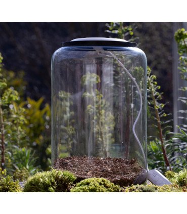 Kit Atelier Mini-Terrarium 'Cylindre M' + LED O'rchidLight