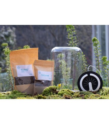 Kit Atelier Mini-Terrarium 'Cylindre M' + LED O'rchidLight