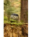 CevenBall Kit déco + plantes