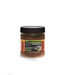 Komodo Tortoise Diet Dandelion