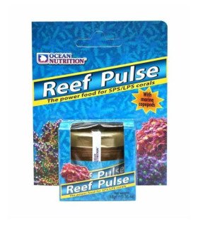 Reef Pulse