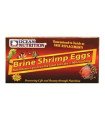 OEUFS D'ARTEMIA 50GR