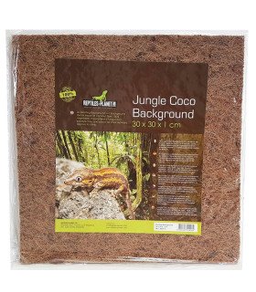 Jungle Coco background