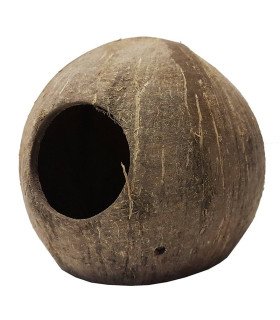 Coco Cave
