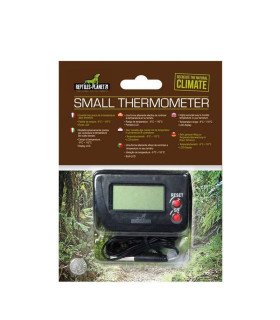 Small Thermometer
