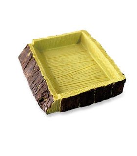 Forest Dish 14.5*12.5*3