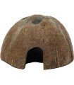 Coco Shelter