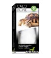 Calci Bone (os de seiche)