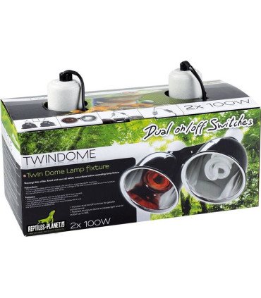 Twindome