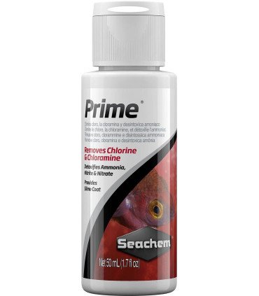 Prime