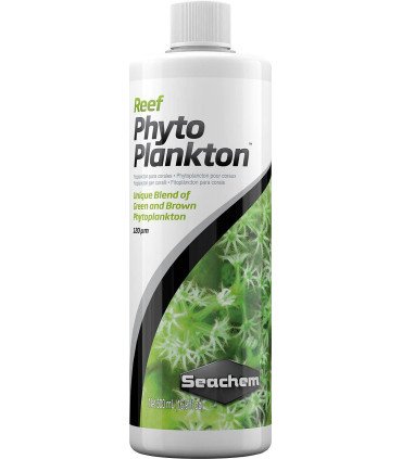 Reef Phytoplankton