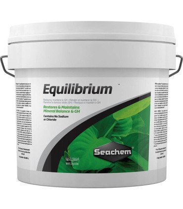 EQUILIBRIUM