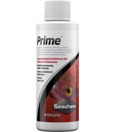 Prime