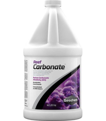 REEF CARBONATE