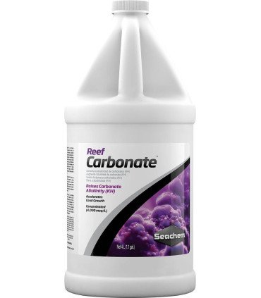REEF CARBONATE