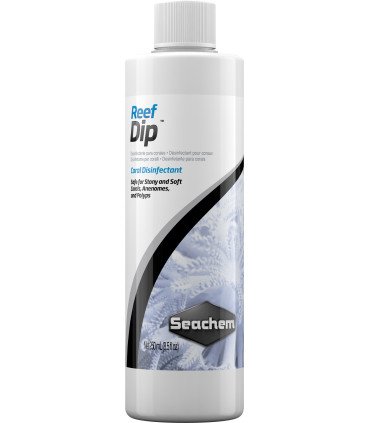 REEF DIP