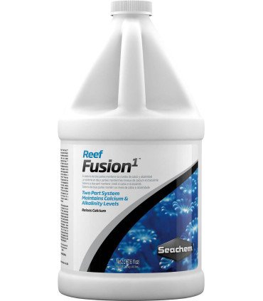 REEF FUSION 1