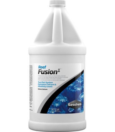 REEF FUSION 1