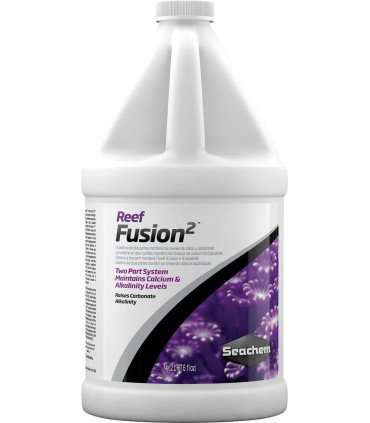 REEF FUSION 2
