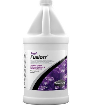 REEF FUSION 2