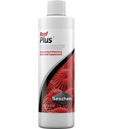 REEF PLUS