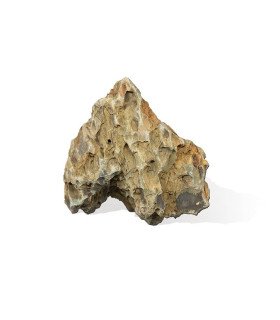 PIERRE CANYON M (DRAGON)