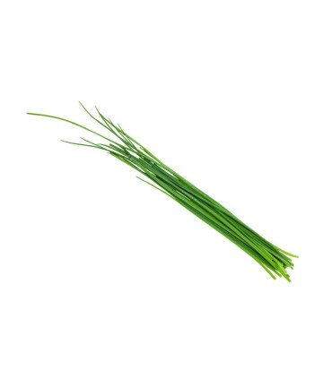 Ciboulette Commune