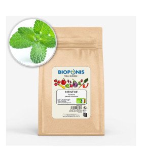Menthe Pomme