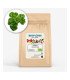 Persil Frisé Vert foncé