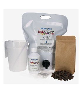 kit-eden-01.jpg