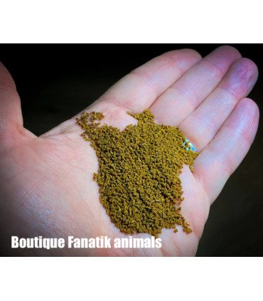 Scale Original - un granulé de première qualité pour tous vos poissons !