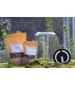 Kit Mini-Terrarium + LEDs "Tropical" Cylindre S