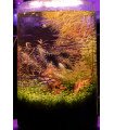 Kit Mini-Aquarium + LEDs - Cylindre S, M ou L