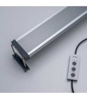 Twinstar B III 120cm